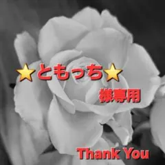 ⭐ともっち⭐様専用