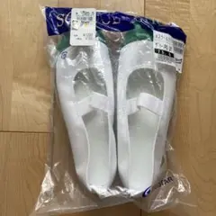上履き 25.5cm ムーンスター