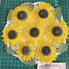 LAPIS LAZULI様 リクエスト 5点 まとめ商品