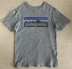 Patagonia パタゴニア Tシャツ USA製 古着 色褪せ