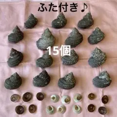 Item thumbnail for item 632ee5d7-1c0a-40fe-84df-59e83deb6489