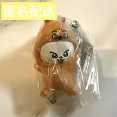 匿名配送　Leebit SKZOO つまんでつなげてますこっと vol.2