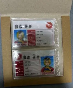 ハイキュー!! マイプロフケース 孤爪研磨