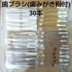 Item thumbnail for item 3df9a795-e0bf-4e15-9417-a0732747afb7