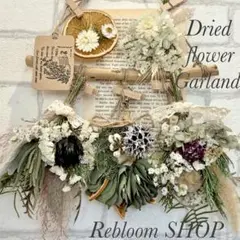 Item thumbnail for item 545d5449-9e84-4b3e-84a2-2558b498879e