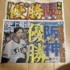 阪神タイガース 優勝記念新聞