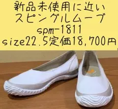 Item thumbnail for item db723187-e4cf-4f3a-9b19-bfb0cd2f5e93