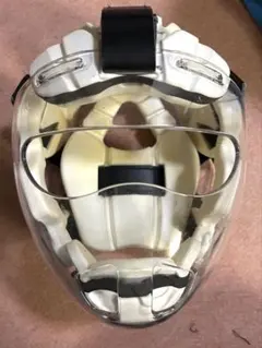 Item thumbnail for item ff2e1b4a-301e-4ec0-8a3d-2e30b082eb2a