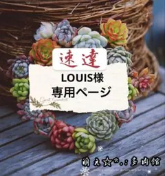 LOUIS 様　専用ページ