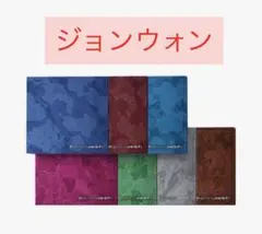 ENHYPEN THE SIN:VANISH ジョンウォン 新品未開封