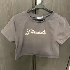 2 PINK グレー Tシャツ Mサイズショ-ト丈のサムネイル