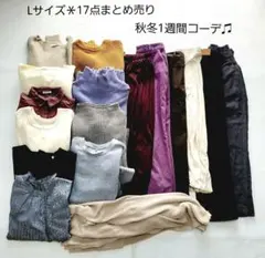 No.133＊Lサイズ17点秋冬1週間コーデ♫マーガレットハウエル、イネド他