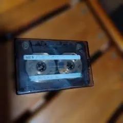 Item thumbnail for item f2be8933-91ed-4e3b-9718-42481305658f