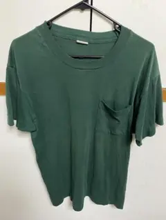 fruit of the room tシャツ　usa製　vintage