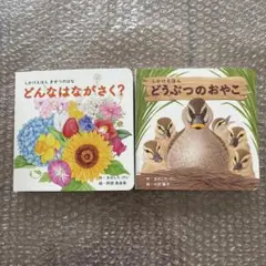 Item thumbnail for item d26cc72d-1758-4a9f-9d77-57a094b2bf71