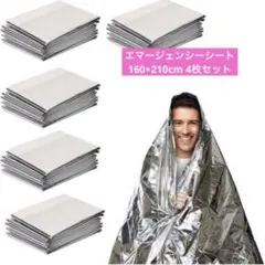 Item thumbnail for item 536a4c96-a2c6-4fdf-8a5f-dc31d28eaa63