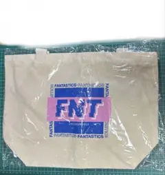 FANTASTICS FNT LIVE TOUR トートバッグのサムネイル