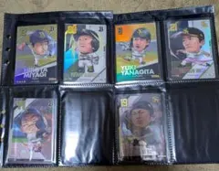 プロ野球 デフォルメカード コレクション2024　柿の種