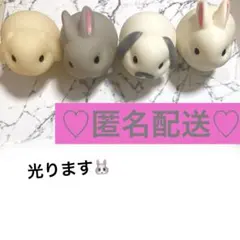 光るうさぎマスコットセット