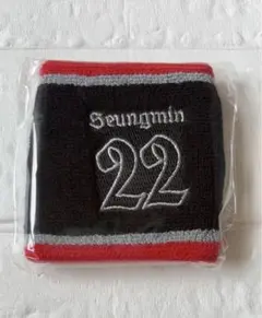 2025年最新】stray kids tシャツ dominateの人気アイテム - メルカリ