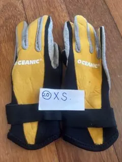 Item thumbnail for item 81fd2899-2c10-444e-a287-36046e4fe84f