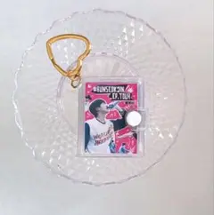 BTS JIN runseokjin moveバージョン ミニフォトキーホルダー