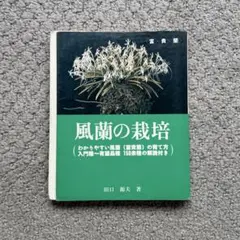 2026年最新】風蘭の人気アイテム - メルカリ