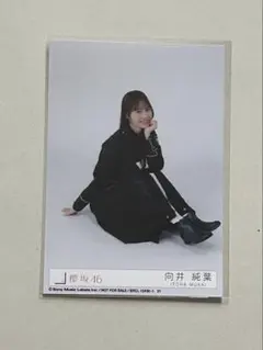 2025年最新】向井純葉生写真の人気アイテム - メルカリ