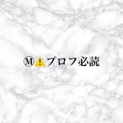 Ⓜ︎⚠️プロフ必読様　専用ページ