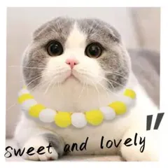 Item thumbnail for item dc64bb19-84b2-445d-b401-c658cea821f7