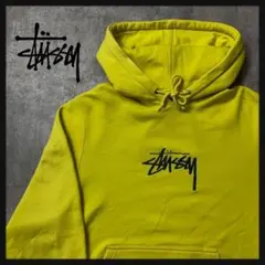 【希少カラー刺繍】ステューシー　センター刺繍ロゴ　パーカー　即完売　入手困難