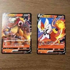 エンティV & エースバーンV セット