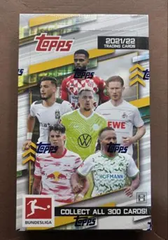 Item thumbnail for item be2cf47f-57a1-4df7-9047-6df1b361c29e