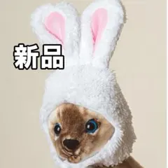★最終値下げ！新品未使用　ペット用 犬猫 ウサギ 帽子 被り物