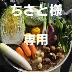 ちさと様専用ページです❣️