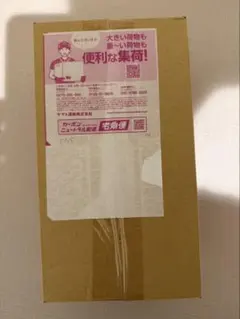 【新品未開封】ポケモンセンター ヒロシマ スペシャルBOX　段ボール未開封