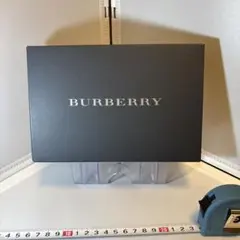 BURBERRY バーバリー ミニタオルハンカチ 3枚セット　新品未使用　20c