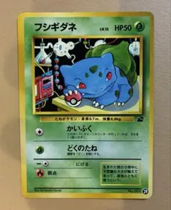 フシギダネ イントロパック　旧裏　希少