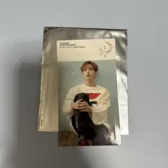 SEVENTEEN セブチ DK ドギョム シール　ステッカー　特典