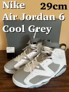 Nike Air Jordan 6 Cool Grey 29cm
