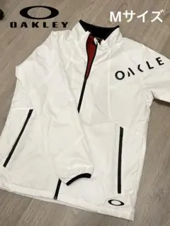 Item thumbnail for item 4bbe6f9d-b475-4d75-89e6-b3262238e031