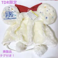 東京ディズニーランド ファンキャップ 25周年