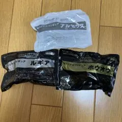 【未開封】ポケットモンスター ハートゴールド・ソウルシルバー 予約特典フィギュア