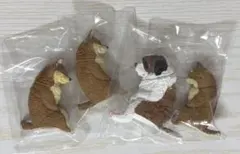 いっしょにねんね わんこ しばいぬ セントバーナード