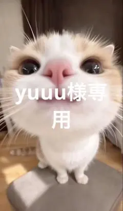 yuuu様専用