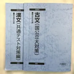 2026年最新】駿台テキスト 漢文の人気アイテム - メルカリ