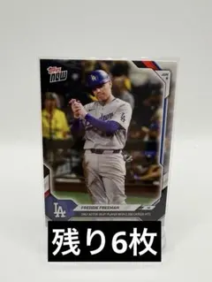 2026年最新】フリーマン toppsの人気アイテム - メルカリ