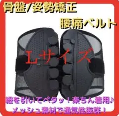 限定セール‼️【Lサイズ】腰痛ベルト 腰痛コルセット 骨盤サポート