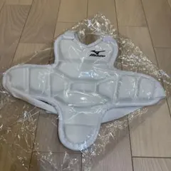 Item thumbnail for item 8d4e383d-5db6-4b6a-bb46-5d6047caf80c