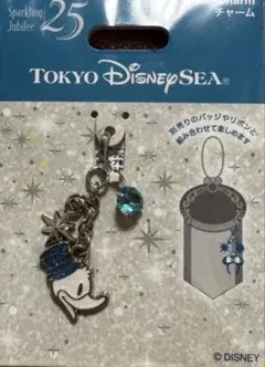 ディズニーシー 25周年 ドナルド チャーム